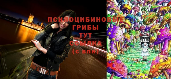 МДПВ Балабаново